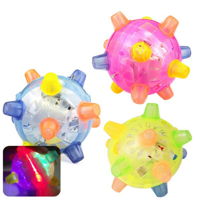 

Flashing Dog Ball random color