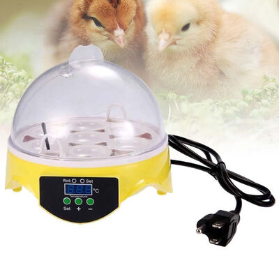 

Ktaxon 7 Eggs Mini Digital Egg Incubator Poultry Hatcher Chicken Goose 110v