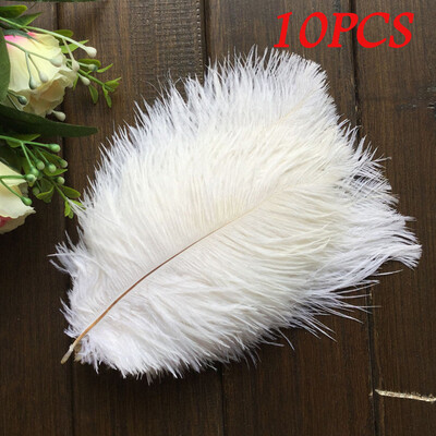 

Gobestart 10PCS Party Fun Special Ungraded Craft Feathers Great For Decoration Parties