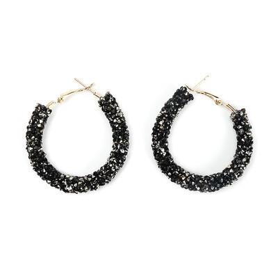 

Women Plated Crystal Rhinestone Big Hoop Earring Jewelry Earrings