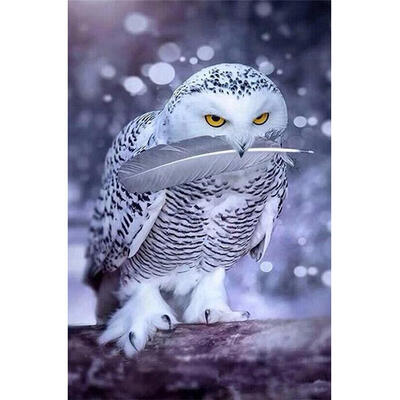 

5D DIY Diamond Painting Bird Cross Stitch Embroidery Mosaic Kit Needlework