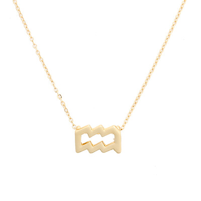 

1 Pcs Fashion Jewelry Zodiac 12 Constellation Aquarius Pendant Necklace For Women Gifts