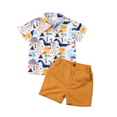 

Toddler Kids Baby Boys Summer Tops T-shirt Dinosaur Pants Shorts Outfits Clothes