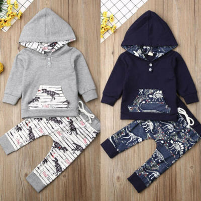 

Toddler Baby Kids Boy Dinosaurs Hooded TopsPants 2pcs Winter Outfit Set Clothes