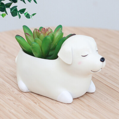 

Gobestart Cute Cartoon Animal Container for Home Garden Office Desktop Decoration