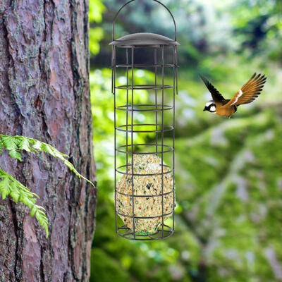 

Greensen Hanging Bird Feeding Container Seeds Food Feed Garden Feeding