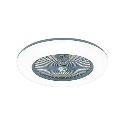 

Ceiling Fan with Lighting LED Light Adjustable Wind Speed Dimmable with Remote Control Without Battery 36W Modern LED Ceiling Ligh