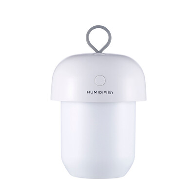 

〖Follure〗Humidifier Air Filter Freshener Essential Oil Diffuser Humidifier For HomeCar