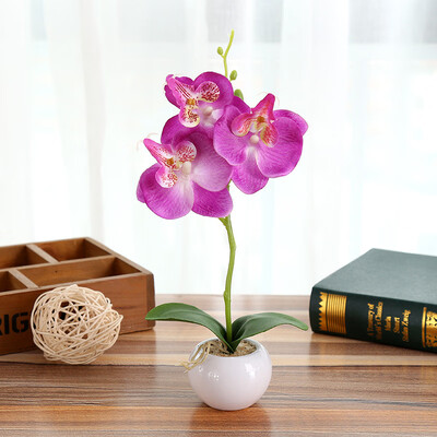 

Moth Orchid Ornament Simulation Bonsai Artificial Flower Potted Plant Home Decor