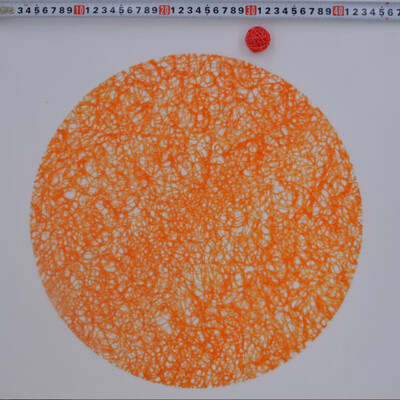 

Round Coasters Plate Pad Slip-resistant PVC Table Mat Placemat Dining Table Decor Heat Insulation Mat Tablecloth