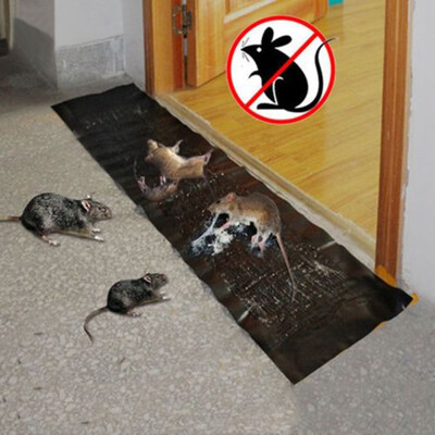 

〖Follure〗5pc Big Size Mice Mouse Rodent Glue Traps Board Super Sticky Rat Snake Bugs Safe