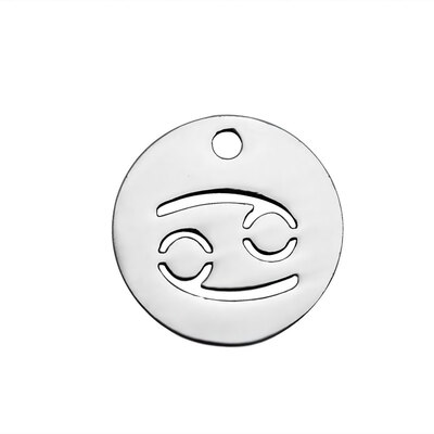 

304 Stainless Steel Charms Flat Round with ConstellationZodiac Sign Stainless Steel Color 12x1mm Hole 1mm