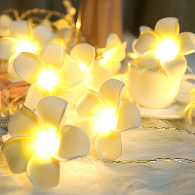 

Siaonvr LED Lights Plumeria Flower 10 Ft3M 20 Leds Battery Powered Indoor Outdoor Decor