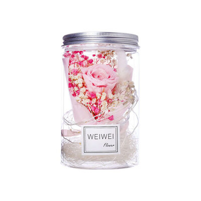 

Clear Case Jar Preserved Fresh Dried Flower LED Night Light Valentine Day Gift
