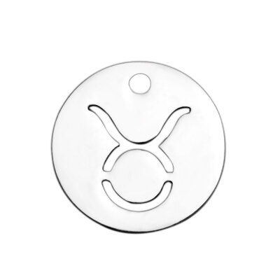 

304 Stainless Steel Charms Flat Round with ConstellationZodiac Sign Stainless Steel Color 12x1mm Hole 1mm