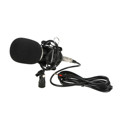 

Professional Studio Broadcasting Recording Condenser Microphone
