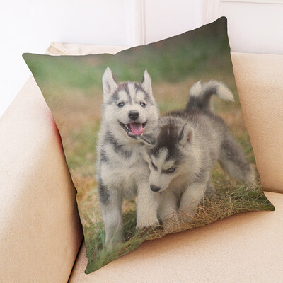 

〖Follure〗Cute Animal Pillow Cover Throw Pillow Case Sofa Cushion Cover Home Decor 18