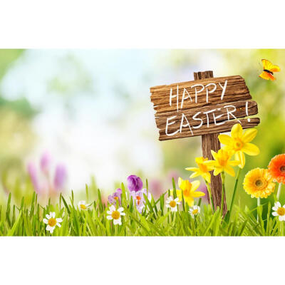 

Easter Theme Printed Digital Photographic Background Cloth Studio Backdrops