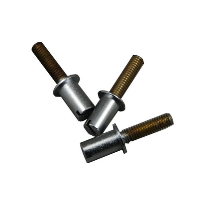 

Brake Screw for BOIF Theodolite TDJ6 TDJ6E
