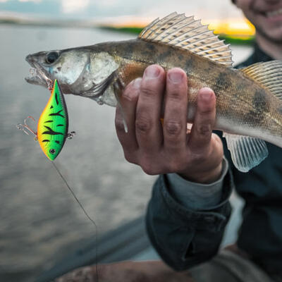 

Greensen 99pcs Freshwater Fishing Hard Baits Pencil Popper Soft Worm Lures Set Accessories Kit Box