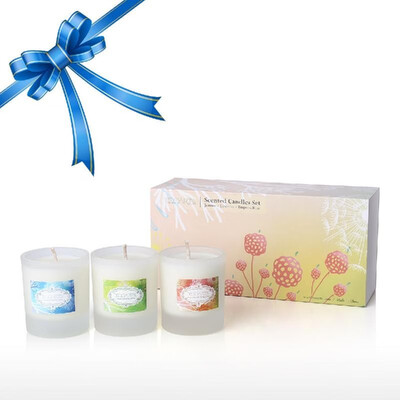 

Tooarts Scented Candles 100 Natural Soy Wax Long Last Clean Burning Exquisite Gift Box Package Charming Fragrance Refresh Air Pe