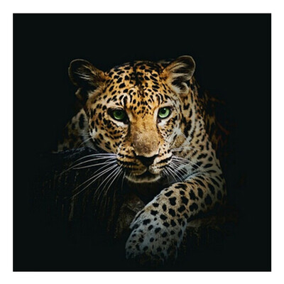 

Gobestart 5D Embroidery Paintings Rhinestone Pasted DIY Diamond Painting Cross Stitch