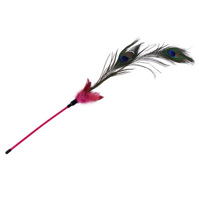 

New Cat Funny Cat Stick Peacock Hair Acrylic Design Orange Pet Durable And Interesting Peacock Feathers Toys Interactive Cat Toy