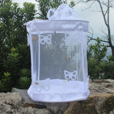 

Habitat Butterfly Cage Insect Breeding Net Garden Insect Feeding Observation Box