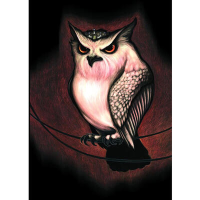 

5D DIY Full Drill Diamond Painting Felonious Bird Cross Stitch Embroidery