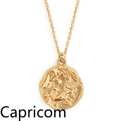 

Star Zodiac Sign 12 Constellation Coin Necklaces & Pendants Choker Necklaces for Women Long Chain Necklace bijoux femme