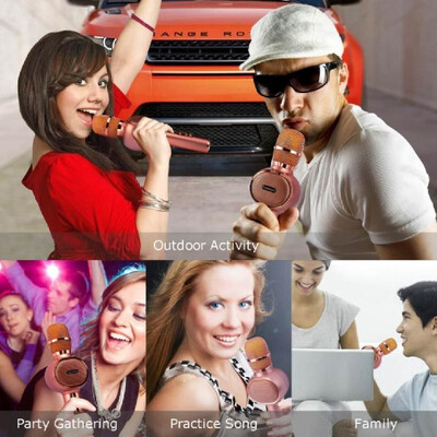 

Laiannwell Wireless BT Karaoke Microphone USB Home KTV Player Mic Speaker Record Music Microphone for Singing Recording Interview