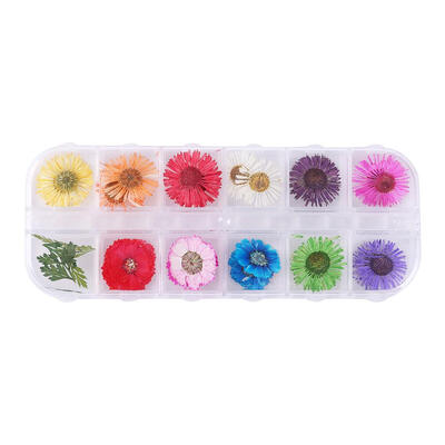 

3D Nail Art Dried Flower Leaf DIY Manicure Preserved Natural Floral Sticker