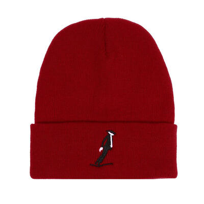 

Fashion Unisex Boys Girls Skiing Print Winter Warm Hat Beanie Knitted Cap