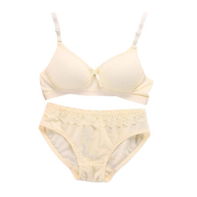 

New Europe Girl Sexy Lace Bra Set Adjustable Underwear Sets Seamless Women B Cup Small Bra Lingerie Lace Small Bra Brief Sets