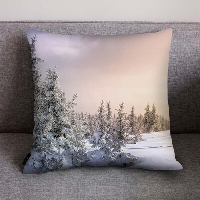 

〖Follure〗Print Pillow Case Polyester Sofa Car Cushion Cover Home Decor