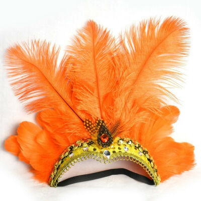 

Indian Crystal Crown Feather Headband Headdress Carnival Headpiece Headgear