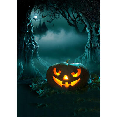 

Halloween Theme Photography Background Cloth Backdrop Photographic Props