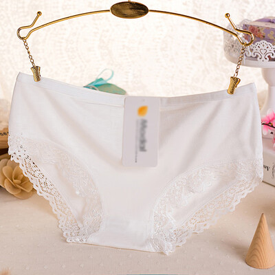

CharmLeaks Womens Cotton Bikini Panties Lace Trim Underwear Briefs Multi Pack