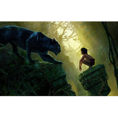 

5D DIY Full Drill Diamond Painting Leopard Boy Cross Stitch Embroidery Kit
