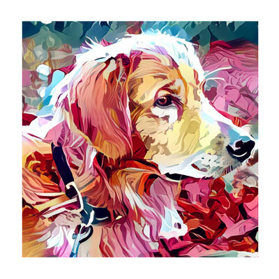 

Siaonvr 5D Embroidery Paintings Rhinestone Pasted DIY Diamond Painting Cross Stitch