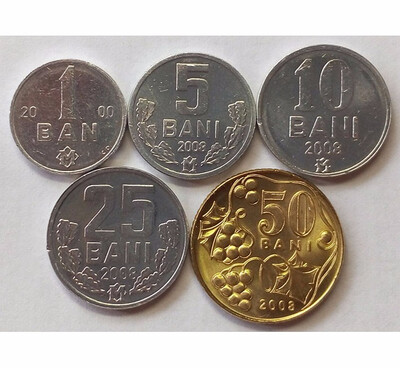 

5 PCS SET Coins of Moldova Europe Post Soviet State