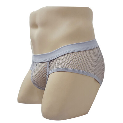 

Men Knickers Thongs Mesh Underwear Bulge Pouch Elastic Low Waist Triangle Briefs