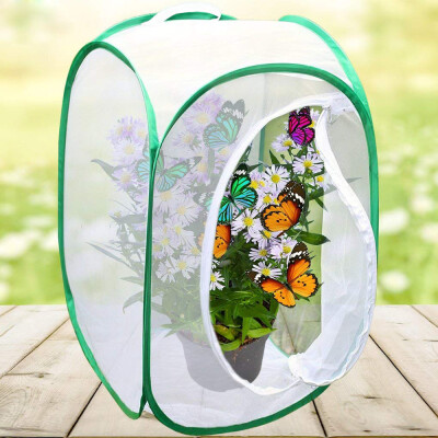 

〖Follure〗1PC Collapsible Insect&Butterfly Habitat cage Terrarium Pop up Open