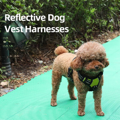 

Dog Vest Harnesses Reflective Service Dog Harness Adjustable Service Dog Vest for Outdoor Walking