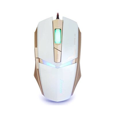 

The mouse TM - 30