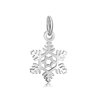 

316 Stainless Steel Pendants Snowflake Stainless Steel Color 20x11mm Hole 5mm