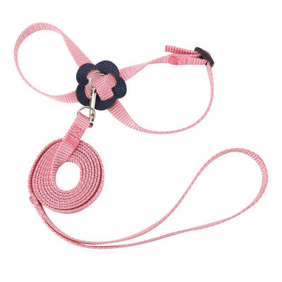 

Parrot Bird Leash Adjustable Harness Pets Anti Flying Outdoor Training Rope