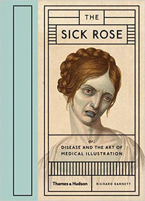 

The Sick Rose Or Disease&the Art of Medica