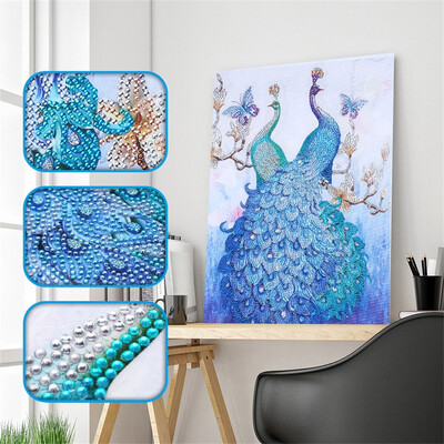 

Siaonvr Special Shaped Diamond Painting DIY 5D Partial Drill Cross Stitch Kits Crystal R