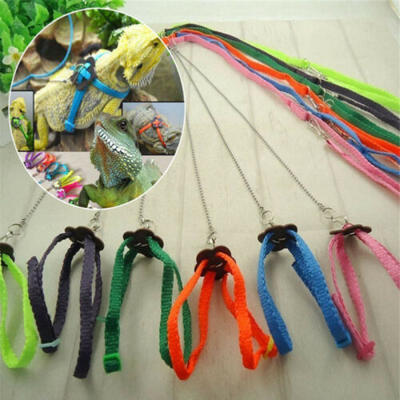 

Adjustable Reptile Lizard Harness Leash Adjustable Multicolor Light Soft Fashion